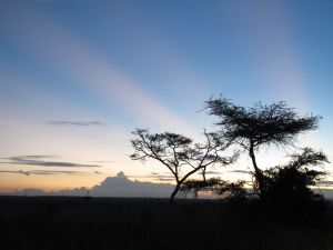 Nairobi Kenya Sunset