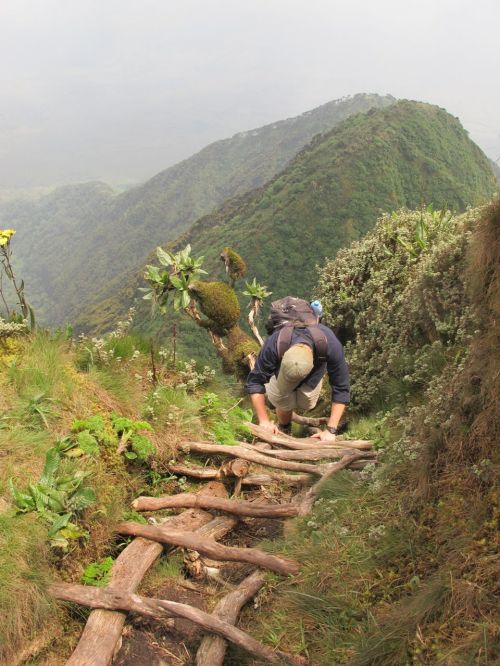Uganda Sabiniyo Ladder