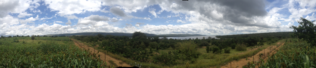 2014 Akagera South - 15