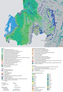 Rwandan Vegetation Map