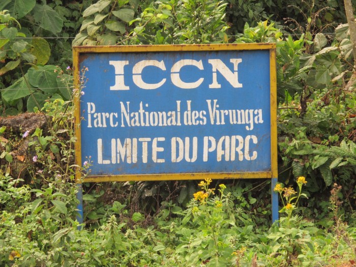 Virunga 05